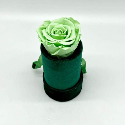 Étoile Vert Eau